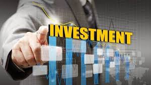 Top 10 Investment With Highest Return On Investment In 2022