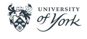 york-university-scholarships